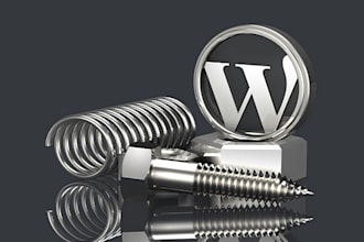 fix and revamp your wordpress website