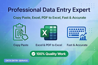 data entry, typing work, and excel sheet work