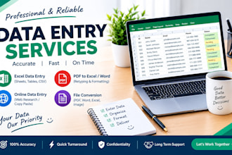 accurate data entry and typing work