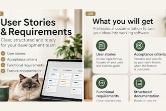 write user stories, requirements and acceptance criteria
