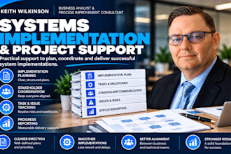 support your systems implementation and project delivery