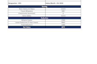 professional bookkeeping and financial accounting