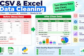 clean and validate your CSV or excel data using python