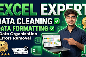 data cleaning and data formatting in excel