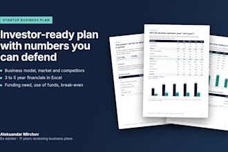 write an investor ready startup business plan and financials