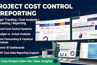provide professional project cost control and budget reporting
