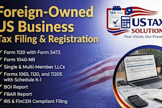 prepare USA individual and US business tax returns