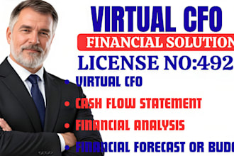 financial analysis, cashflow statement,financial forecast or budget, virtual cfo