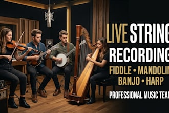 record live fiddle mandolin banjo harp for your music