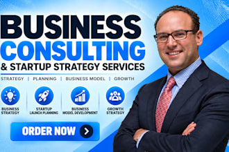 provide business consulting and startup strategy services