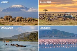 plan your kenya safari and east africa vacation itinerary