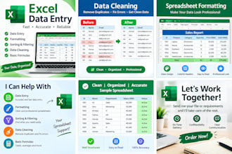 , spreadsheet formatting, and data cleaning
