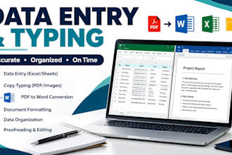 accurate data entry and typing work