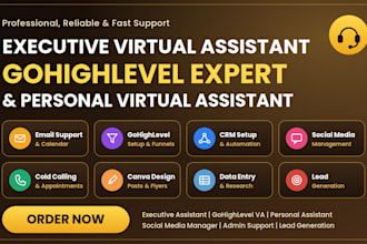 executive personal virtual assistant gohighlevel virtual assistant social media