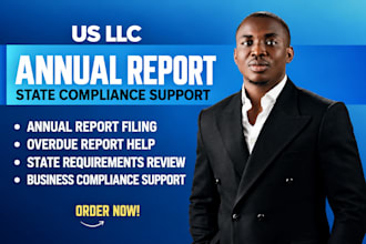 prepare and file your US llc annual report and state compliance documents