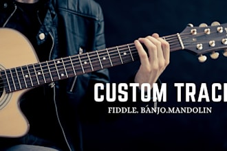 record professional fiddle banjo and guitar for your song