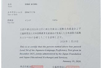 teach you japanese and translate anything for you