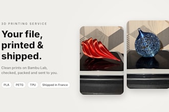 3d print your stl file and ship it to you