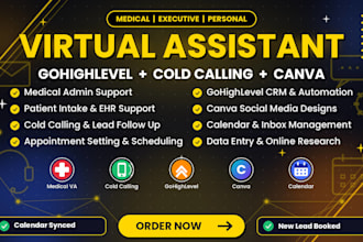 executive personal virtual assistant admin gohighlevel medical billing