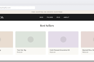 build a professional shopify store from scratch