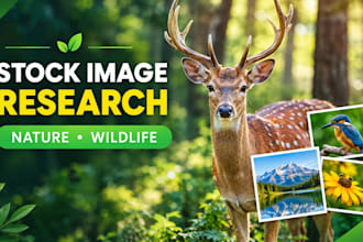 find royalty free stock photos and images for your projects