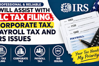 assist with llc tax filing, corporate tax, payroll tax and irs issues