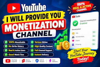 provide you monetization youtube channel
