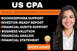 provide CPA audit support financial verification and attestation reports