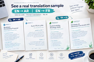 provide expert english french arabic translation
