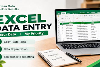 do excel data entry and spreadsheet formatting