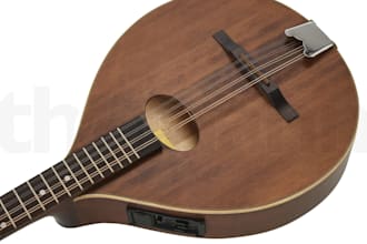 record octave mandolin guitar bouzouki banjo dobro roncoco lute harp dulcimer