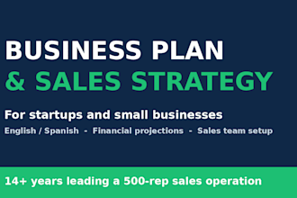 create a business plan and sales strategy for your small business