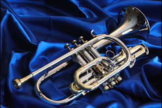 record trumpet, cornet, flugelhorn, bugle,frenchhorn, trombone ,euphonium,tuba
