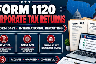 assist with form 1120 business tax returns and form 5471 reporting