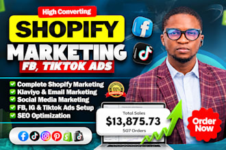 setup facebook ads campaign instagram ads shopify meta ads google or tiktok ads
