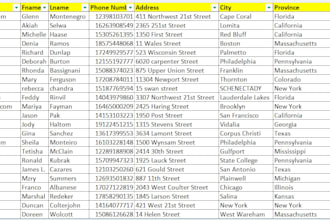provide you consumer leads from worldwide
