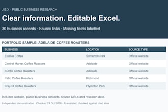 research public business information and organize it in excel
