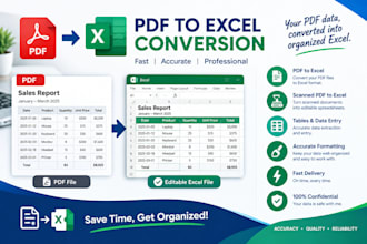 convert PDF to excel, extract tables, and organize data