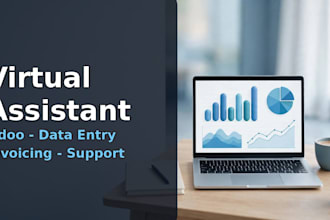 be your virtual assistant for odoo data entry and invoicing