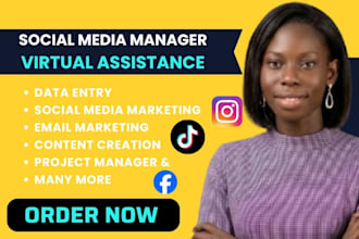 be your personal admin executive virtual asssistant social media manager ghl va