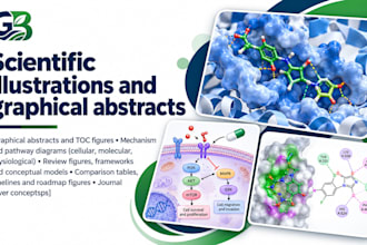 design scientific illustrations and graphical abstracts