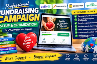 create high success zeffy, boomerang, givebutter, gofundme fundraising campaign