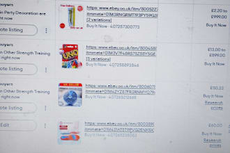 do ebay dropshipping and whole sale