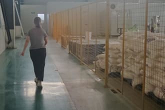 inspect your goods at the factory in china before shipment