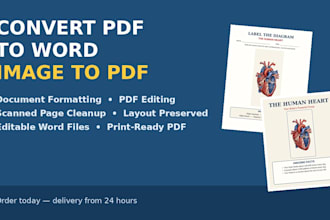 convert PDF to word, image to PDF