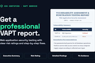 test your web app for security holes and send a clear vapt report