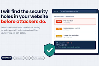 owasp top 10 test for your web app