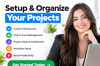 setup jira, clickup, asana, trello, and notion projects