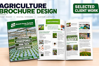 design a professional corporate company profile brochure