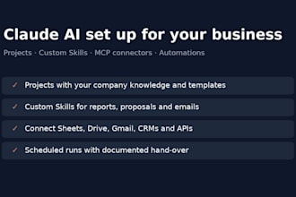 set up claude ai projects, custom skills and mcp connectors for your business